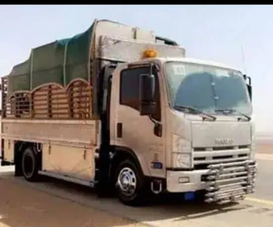 شركة نقل عفش جنوب الرياض